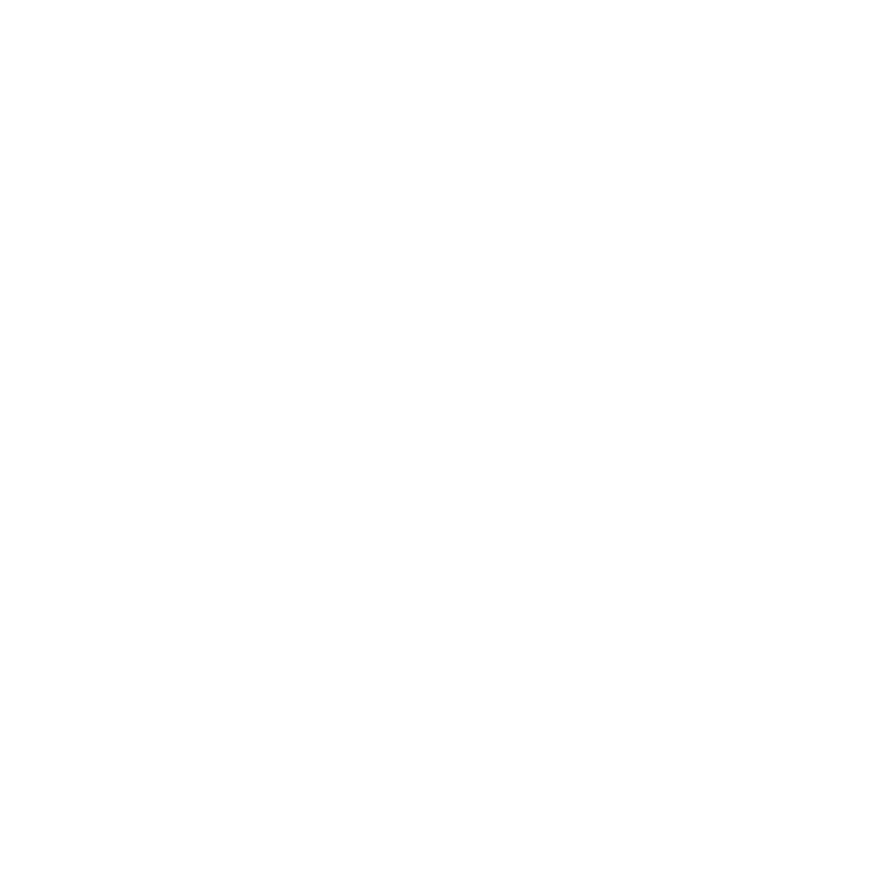 Brain Works Studio Africa Logo